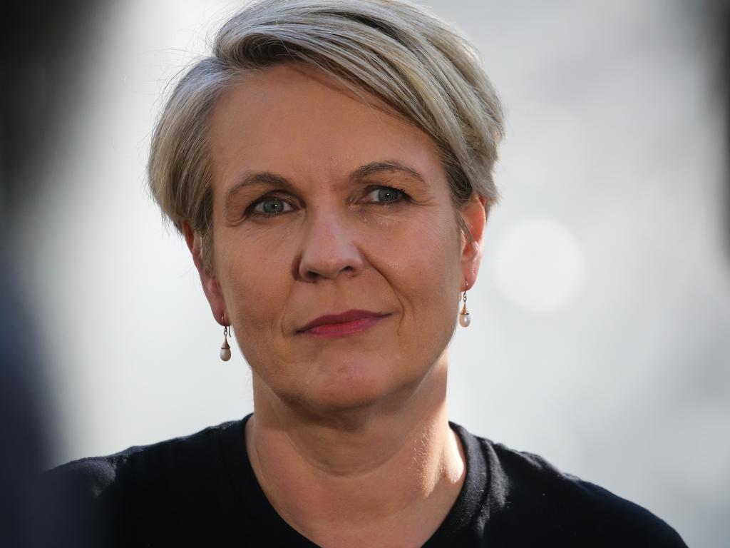 Tanya Plibersek To Deliver Tarkine Dam Decision In Coming Weeks | Daily ...