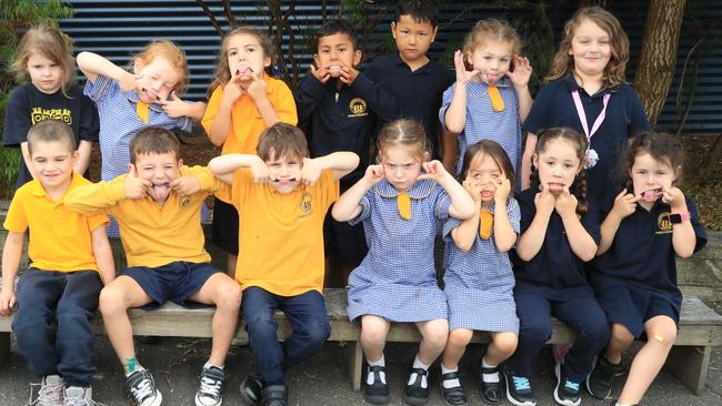 Hamlyn Banks Primary School Primary Class FMC Back Row From Left: Sibella Medley, Perri Arnott, Evie Caruana, Sufiyaan Mohammed, Elmer Ghulam Abbas, Charli Gibbons, Sadie Coppola Front Row From Left: Noah Mitchell, Nixon O’Meara-Giordimaina, Matteo Perrotta, Azahri Treloar, Quinn Webb, Aubrey Convery, Aleah Barnett Picture Mark Wilson