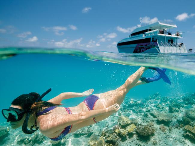 Tourism and Events Queensland 20 Days of Holidays Like This campaign - Snorkelling off Lady Musgrave Island.