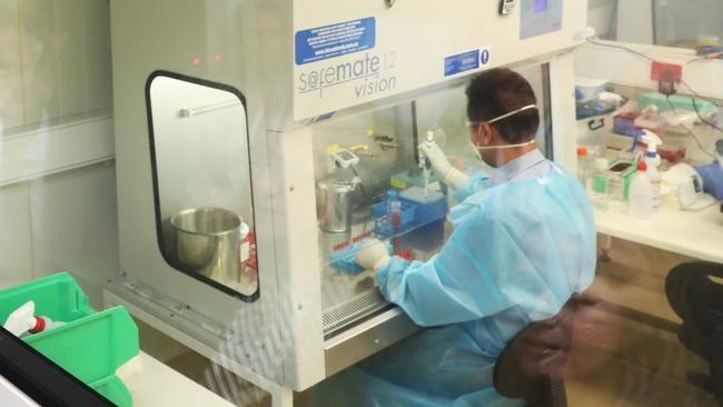 A researcher works at the Doherty Institute in Melbourne. Picture: AAP