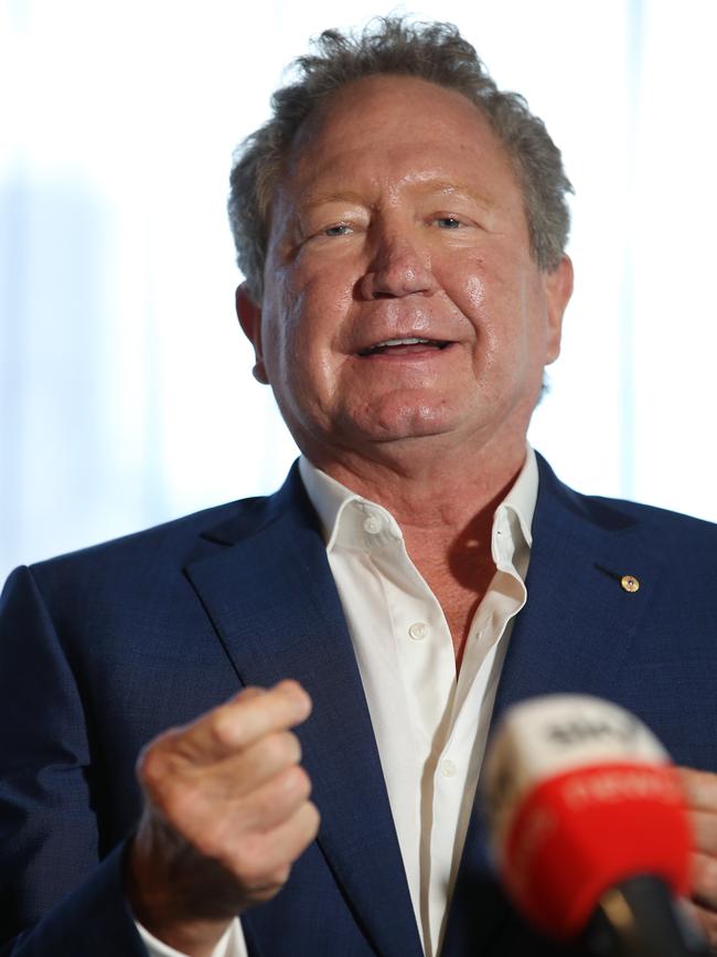 Andrew Forrest. Picture: NCA NewsWire/David Swift