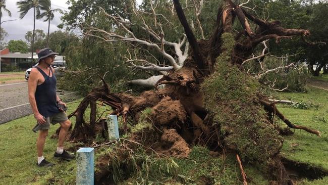 Tropical Cyclone Kirrily 2024: Locals survey the damage the morning after.