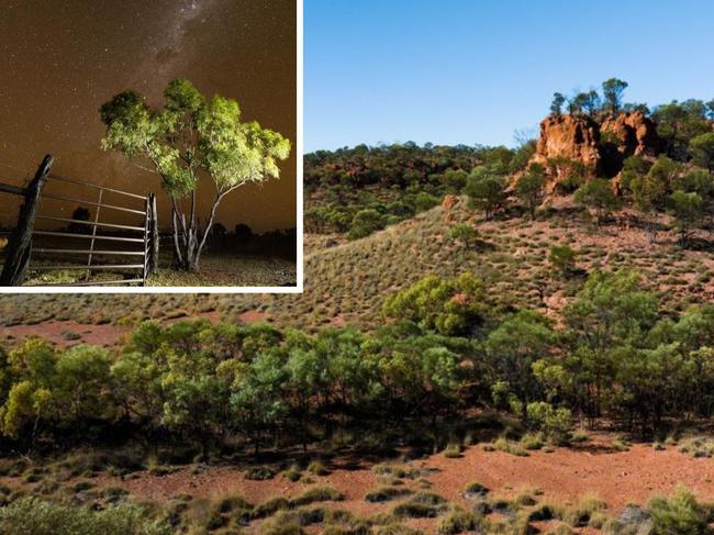 The Queensland Government has bought a 350,000 hectare cattle station to save an endangered creature.