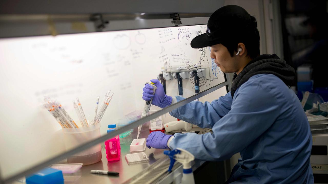 A researcher working with Doctor Paul McKay (unseen), who is working on an vaccine for the 2019-nCoV strain of the novel coronavirus. Picture: Tolga Akmen/AFP