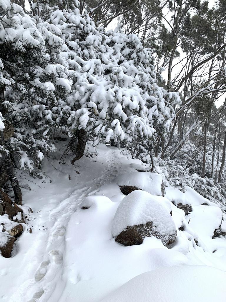 Snow on Kunanyi/Mt Wellington on Tuesday June 7, 2022