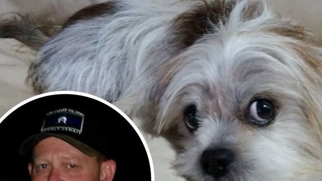 After being told there were no pet ventilators in Gympie to possibly save his dog’s life and he would have to drive to the Sunshine Coast, a resident is speaking out to enact change.