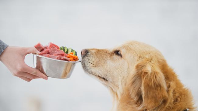 Huge pet food myth people don’t notice. Picture: iStock