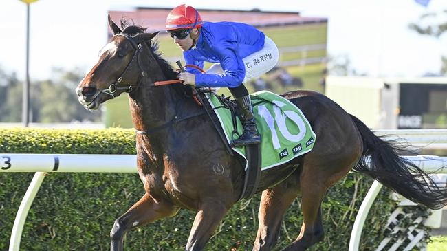 Drift Net can end the day at Rosehill Gardens on a high note. Picture: Bradley Photos