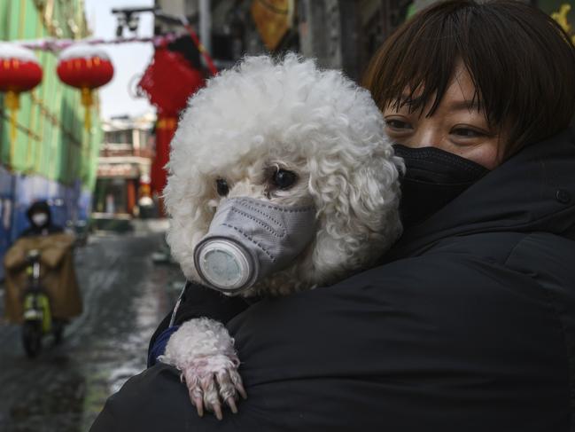 A Chinese woman holds her dog that is wearing a protective mask as well as they stand in the street. Picture: Getty Images