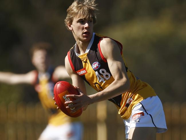 MELBOURNE, AUSTRALIA - SEPTEMBER 03: Benjamin Hopkins of the Stingrays looks to pass the ball during the Coates Talent League Boys Wildcard Round match between Gippsland Power and Dandenong Stingrays at La Trobe University Sports Fields on September 03, 2023 in Melbourne, Australia. (Photo by Daniel Pockett/AFL Photos/via Getty Images)