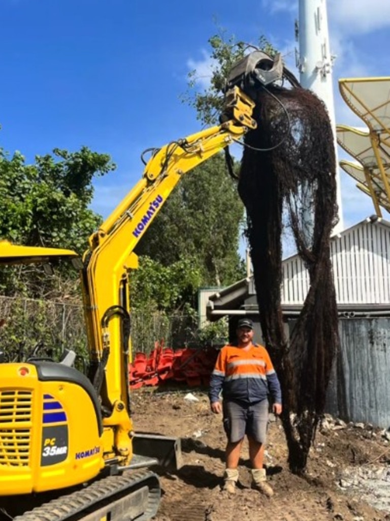 Elliot Aisthorpe of Big Country Earthworks shared jaw-dropping footage of the two-storey high monster root system pulled out of a backyard watertank. Source: BigCountryEarthworks/TikTok