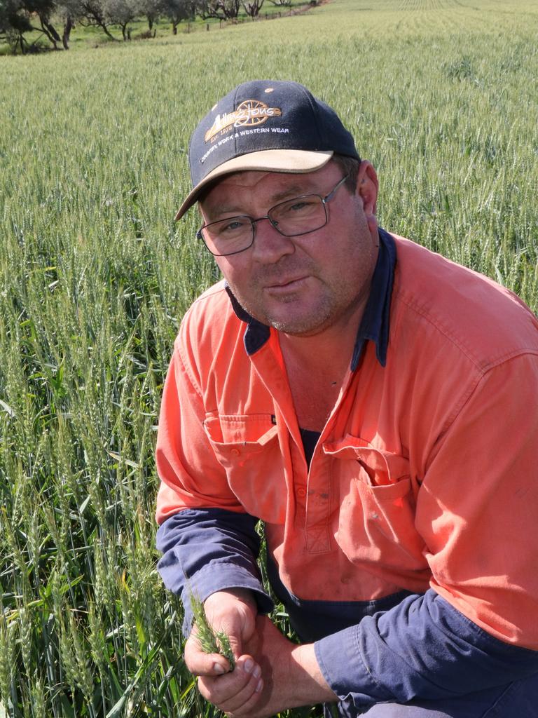 Farmers in Victoria’s Millewa region are expecting double long-term ...