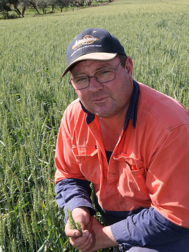 Farmer Chris Hunt says his wheat and barley crops could yield double their long-term average this year. Picture: Glenn Milne