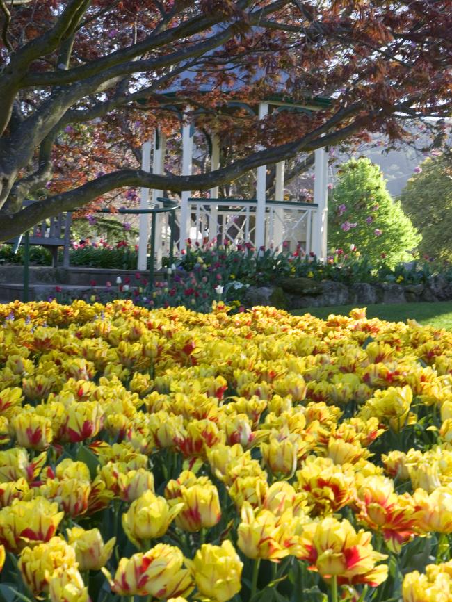 Bowral Tulip Time is the perfect backdrop for a wedding. Picture: Destination Southern Highlands