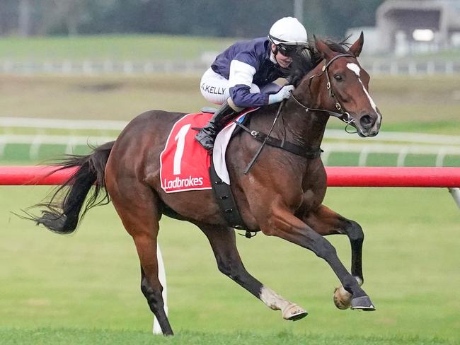 Hosier (IRE) ridden by Alana Kelly wins the Ladbrokes Same Race Multi Handicap  at Ladbrokes Park Lakeside Racecourse on April 18, 2022 in Springvale, Australia. (Scott Barbour/Racing Photos via Getty Images)