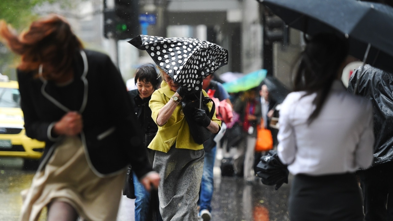 Wild Vic weather dampens Derby Day