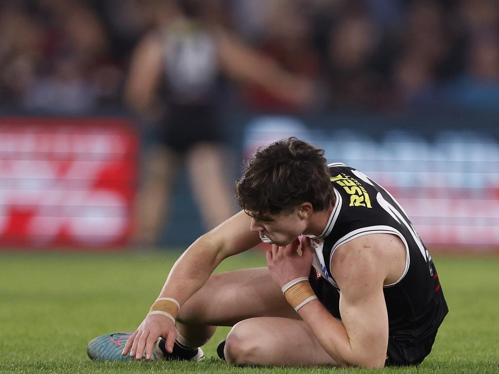 MELBOURNE, AUSTRALIA - MAY 04: Darcy Wilson of the Saints recovers from a heavy hit during the round eight AFL match between St Kilda Saints and North Melbourne Kangaroos at Marvel Stadium, on May 04, 2024, in Melbourne, Australia. (Photo by Darrian Traynor/Getty Images)