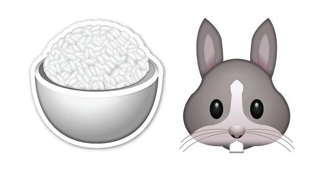 Rice bunny instagram