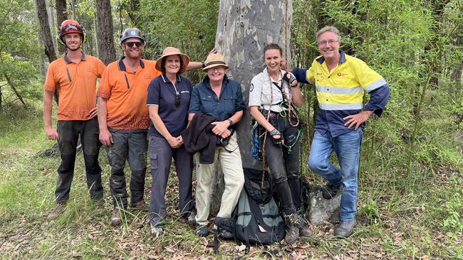 The gang-gang gang at Mogendoura: Arborists Joshua Maloney and James Weston, Eurobodalla council’s natural resources supervisor Courtney Fink-Downes, Dr Susan Rhind, Dr Laura Rayner, and landowner James Rickard. Picture: Eurobodalla Shire Council