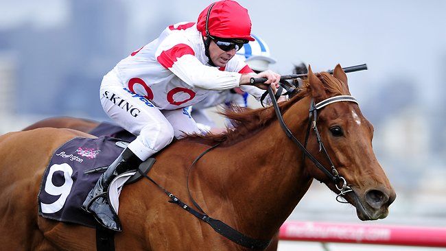 Shanghai Warrior’s trainer Pat Hyland has eyes on a bright future ...