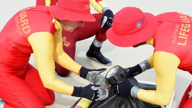 Surf Life Saving Queensland have conducted marine stinger drags on Fraser Island.