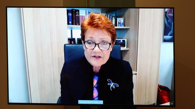 One Nation’s Pauline Hanson proposed a bill to stop vaccine mandates. Picture: NCA NewsWire / Gary Ramage