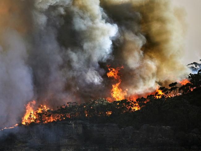 Out of control fire on Narrow Neck Plateau, Blue Mountains was part of the Ruined Castle Fire which was started by lightning strike during the 2019Ã¢â¬â20 Australian bushfire season or Black Summer. Climate change is causing prolonged droughts and increasing bushfires