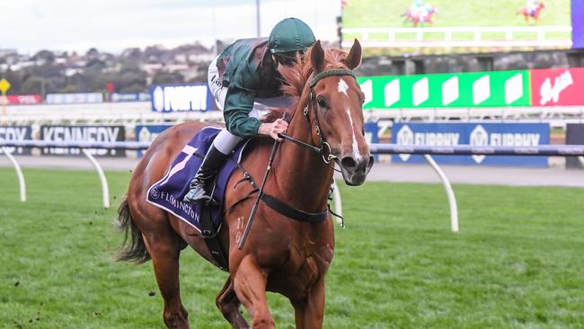 The Everest will be a huge step up in class for Joyful Fortune. Picture: Racing Photos via Getty Images