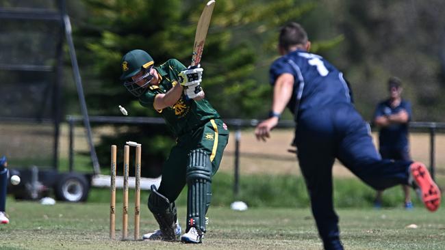 Premier Cricket: Carlton’s Evan Gulbis knocks over Northcote’s Aaron Crispe. Picture: Andy Brownbill