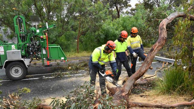 Mitcham Council workers begin the clean-up on Edgecombe Pde, Blackwood. Picture: Keryn Stevens