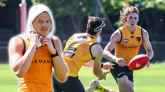 Hawthorn pre-season training is back