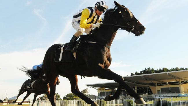 Great start: Provocative wins first up at Ipswich. Picture: Grant Peters, Trackside Photography