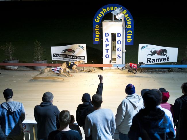 The plans fir the site of the iconic Dapto Dogs were revealed on Monday.