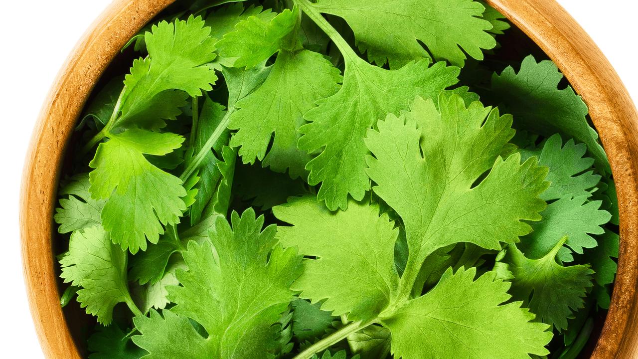 Why people either love or hate coriander