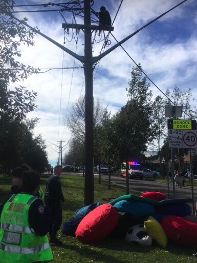 Mark Teuma, 14, sitting up on a power pole before rescued by firefighters. Picture: Sutherland Fire Station