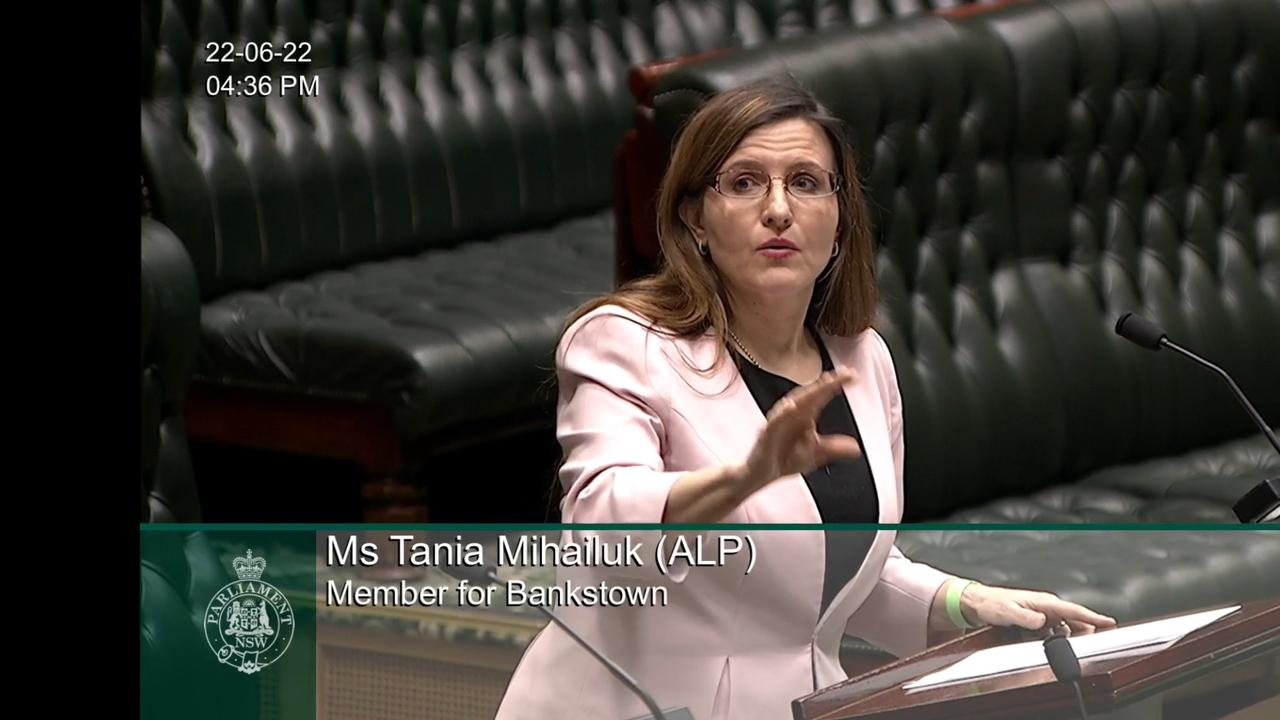 Bankstown MP Tania Mihailuk Moves From Labor To One Nation | News.com ...