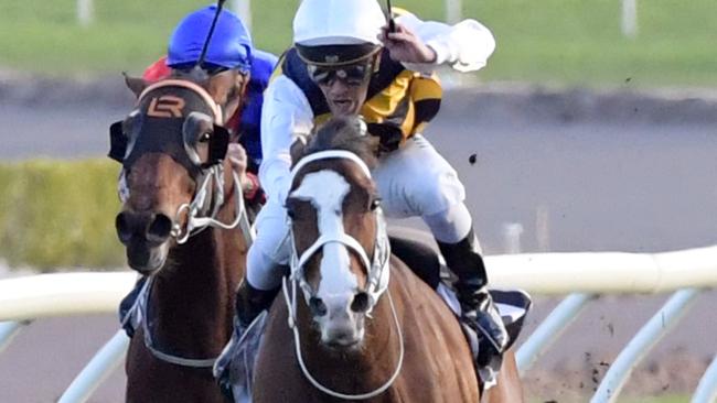 Tom Melbourne looks well placed to break through for a win on Saturday.