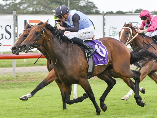 Nightcapped can kick off her campaign on a winning note on he home track. Picture: Bradley Photos