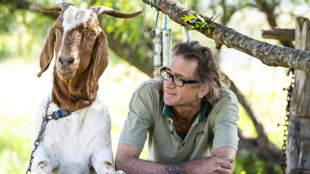 Bruce the goat, pictured with his owner Craig Smith, has been named Toowoomba's quirkiest pet in The Chronicle's online poll, Monday, May 2, 2022. Picture: Kevin Farmer