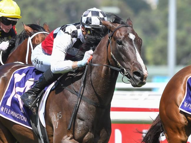 Sepals ridden by Blake Shinn wins the CS Hayes Stakes at Flemington Racecourse on February 15, 2025 in Flemington, Australia. (Photo by Pat Scala/Racing Photos via Getty Images)