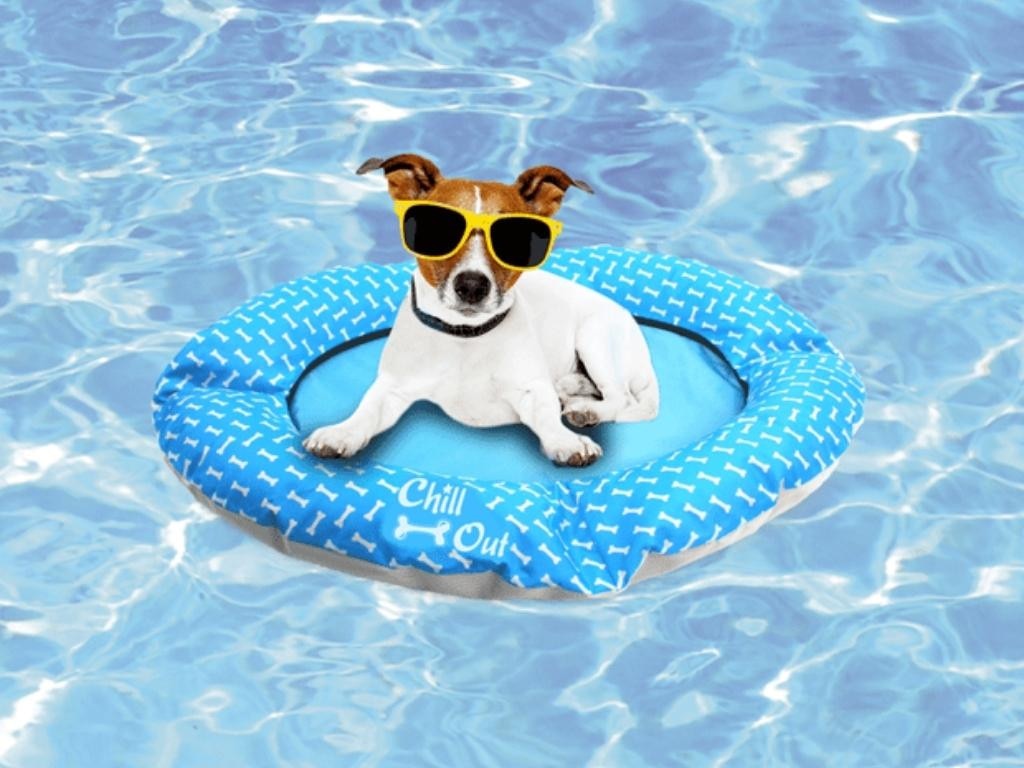 Afp always cool dog deals mat reviews