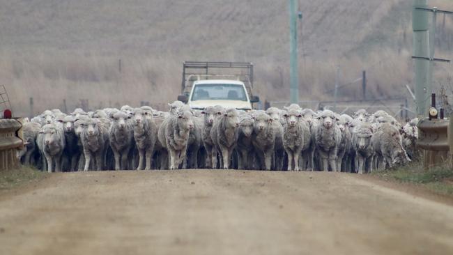 Bowhill Grange sits among working farms, so there may be other locals using the road.