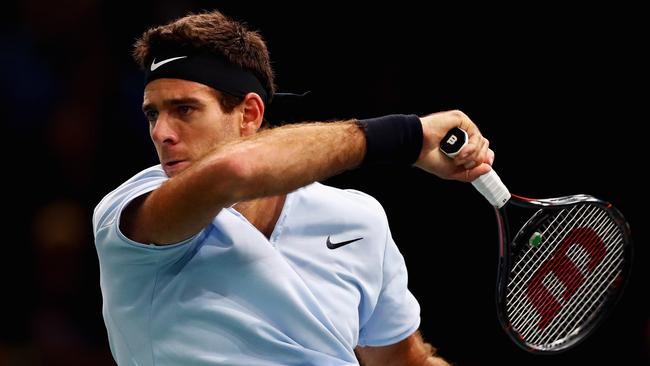 Juan Martin del Potro in his match against Robin Haase at the Paris Masters.