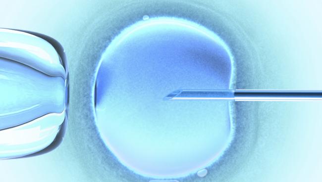 As well as helping with conception, donations also likely assisted with early IVF research.