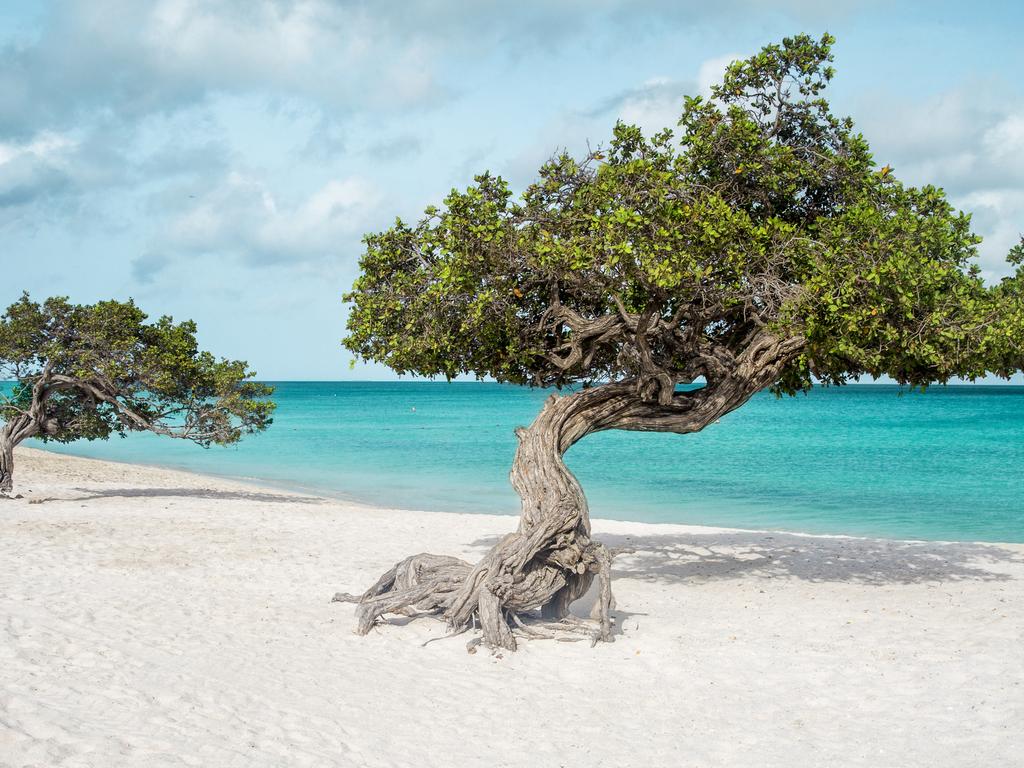 Eagle beach with divi divi trees on Aruba island came in second spot. Picture: iStock.