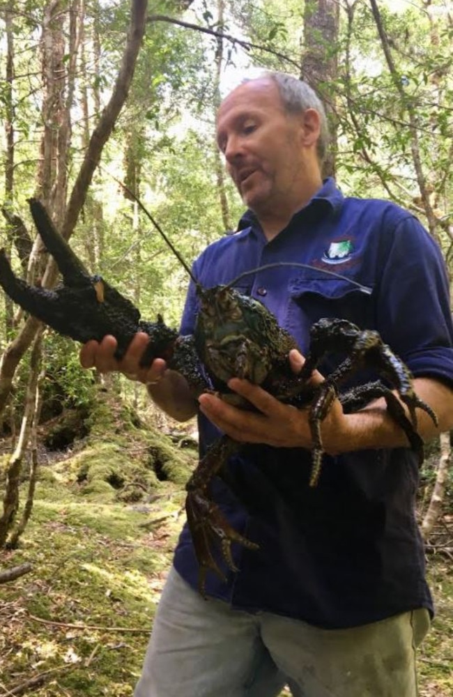 world record crawfish