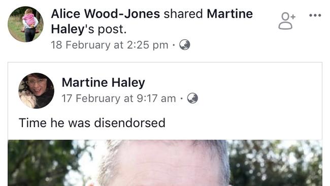 The Premier’s chief adviser Martine Haley has admitted using fake social media accounts.