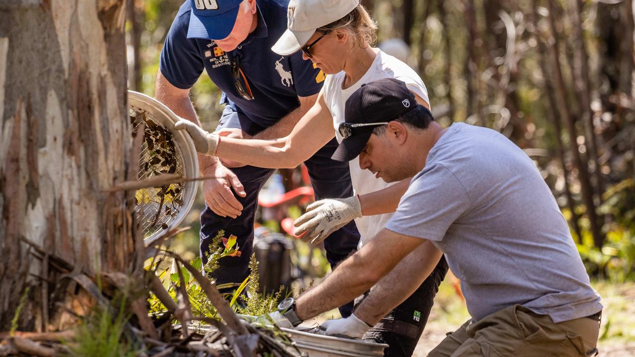 Missing Campers: Police Search For Other Clues After Human Remains ...