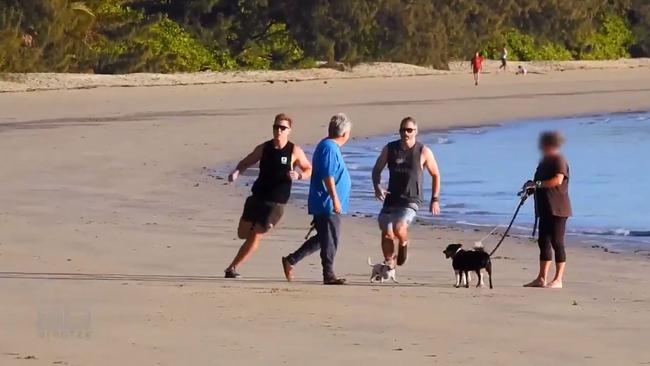 Career fraudster Peter Foster is crash tackled and arrested on Four Mile Beach at Port Douglas. Picture: Channel 9