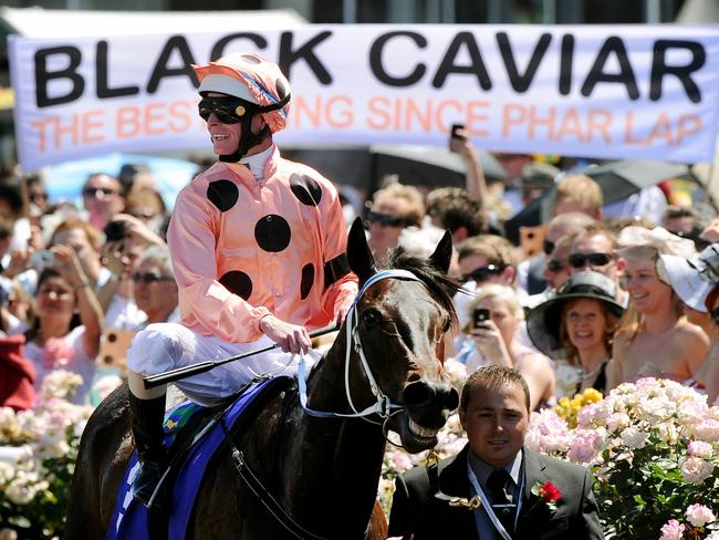 Black Caviar after her 16th straight win at Flemington.